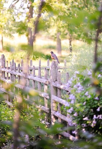 Simple fence made of rustic old wood
